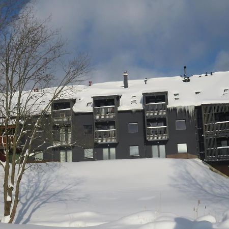 Apartman Honey Dolní Morava Εξωτερικό φωτογραφία