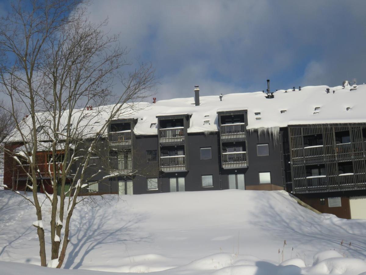 Apartman Honey Dolní Morava Εξωτερικό φωτογραφία